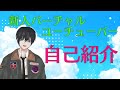 【Vtuber】初めまして! 大鳳いずもです【自己紹介】