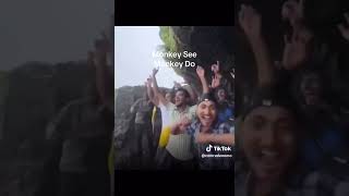 Monkey See Monkey Do #funny #funnymemes #funnyvideo