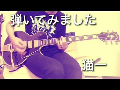 ｢ LOVE LOVE SHOW /THE YELLOW MONKEY｣ギターで弾いてみました(コピーです)猫一