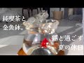 【day off】 純喫茶と金魚鉢。猫と過ごす夏の休日