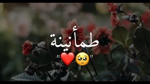 أجمل حالات واتس اب قرآن كريم بصوت جميل جدا Quran status❤️
