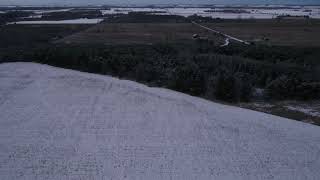 Filion Farms - Tract 9 40 Acres, 23.67 Tillable, 14.61 Wooded, 23.67 In Crp - Kinde, Mi