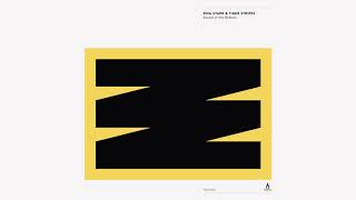 Riva Starr & Tiger Stripes - Move It - Truesoul - TRUE12105