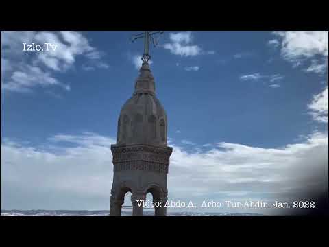 Arbo Tur-Abdin Jan.2022