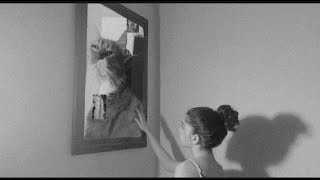 Doafalan- Geçmişin Izleri