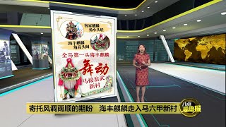Download Lagu 异乡落地生根   海丰麒麟舞动马接翁武新村    | 八点最热报 17/02/2026 MP3