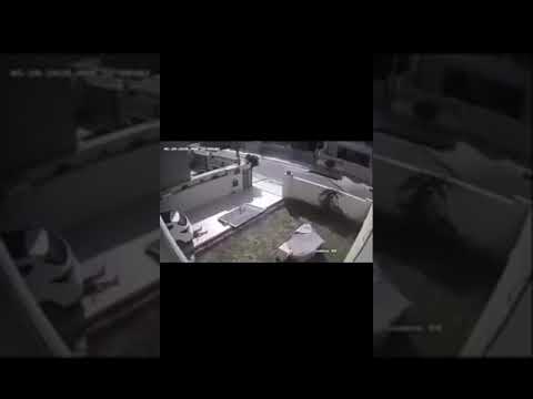 نهاية العصبية