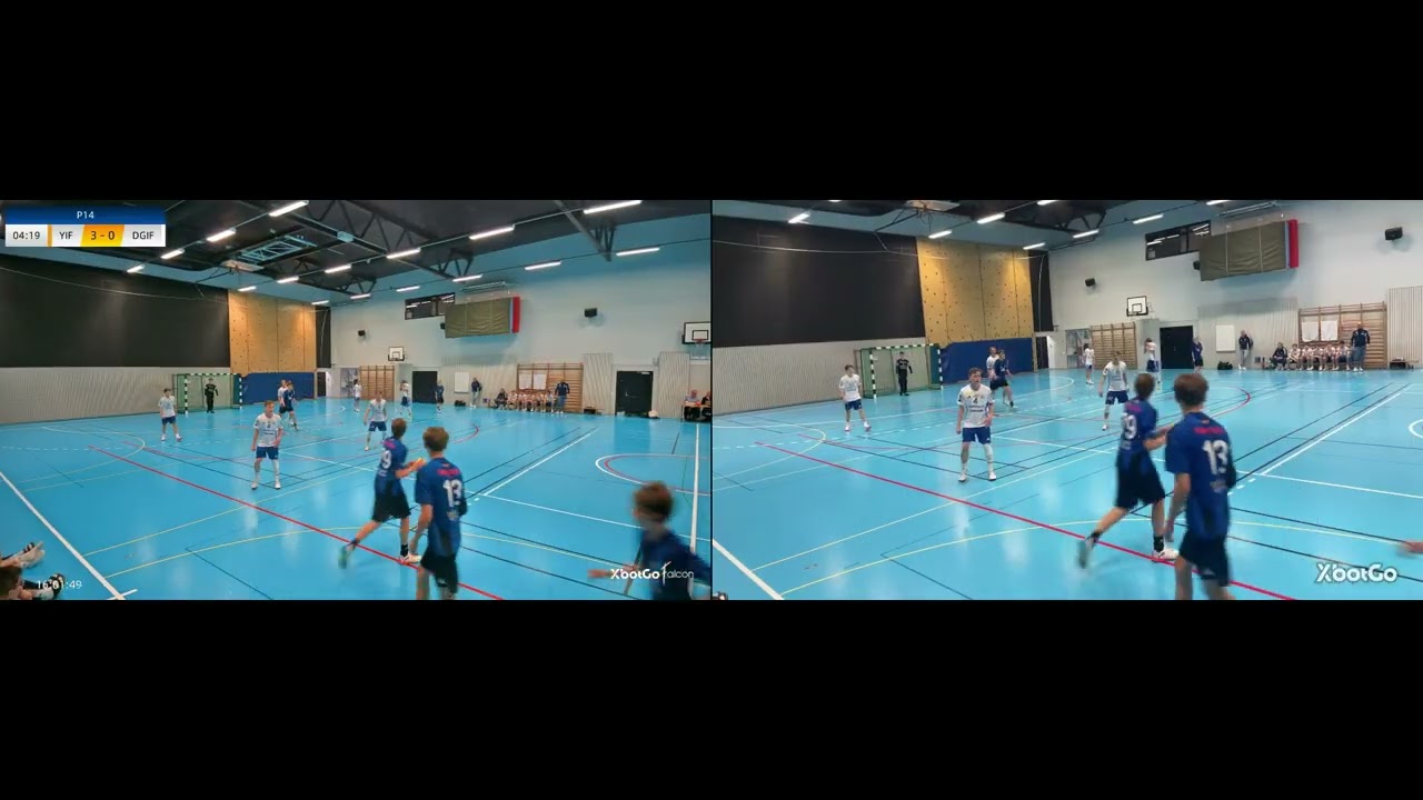 compare falcon vs chameleon in Handball