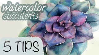 watercolor succulents painting tips tutorial