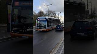 Nieuwe kleine eCitaro's in Brussel | #ecitaro #mercedesbus #newbus #stib #mivb #brussels