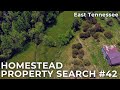 Homestead Property Search #42 | East Tennessee