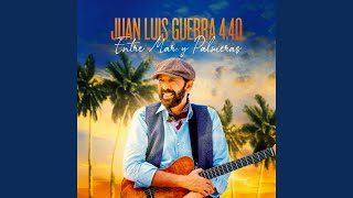 Video thumbnail of "Juan Luis Guerra - Vale la Pena (Live)"