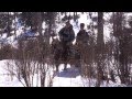 Промысловая охота на соболя (Алтай)