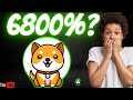 Cest approuv avec baby doge coin  analyse bullrun 2024