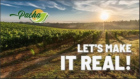 Pacha Call for Code Challenge