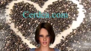 Семена чиа полезные свойства, клетчатка Семена чиа полезные свойства, клетчатка