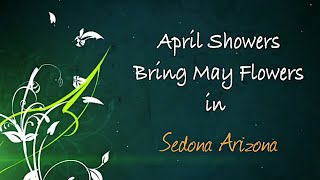 April Showers Bring May Flowers in Sedona Arizona