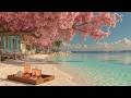 Study Chill Podcast | Lofi Beats To Improve Concentration and Calm Ambient Podcast Vibes~~