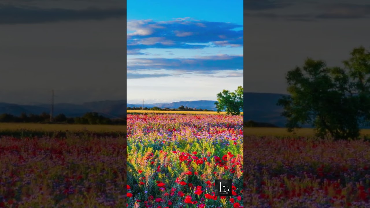 That Field You Didn’t Expect