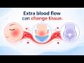 Vasocongestion Explained: Blood Flow, Swelling, Arousal & Cramps 🩸