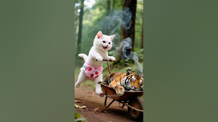 😸💥🐯Kitten Wears a Tiger Skin... But His Dad Took the Fall 💔