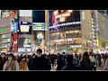 【4K】Tokyo Night Walk - Shibuya (Nov.2020)