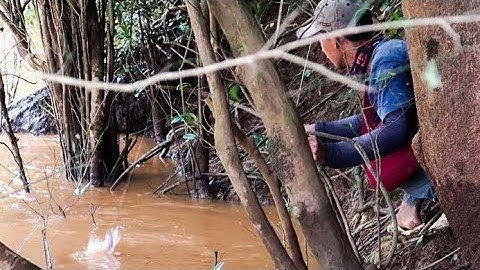 Câu cá lăng suối Mã Đà! ✅