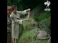 English Witch Cave #shorts #history #vintage #witchcraft #yorkshire #science  #interesting  #travel