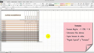 Curso Práctico de Excel. Ejercicio 05.