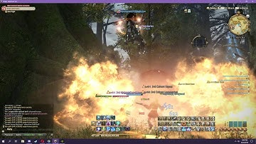 FFXIV Bot Problem