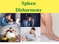 Day 1 tcm approach spleen disharmony varicose vein bloating diarrhoea  nausea part 1