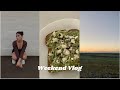 Fin de semana Vlog: relajándome, cocinando, mini haul y mas | Chill weekend in my life