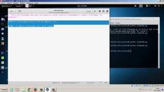 Programação em Python - Curso Video Aula 01