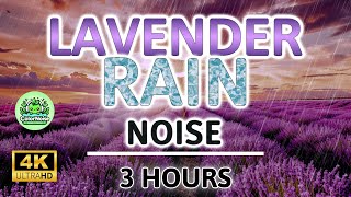 Soothing Lavender Rain Noise | 3 Hours BLACK SCREEN | Study, Sleep, Tinnitus Relief and Focus