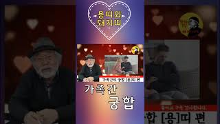 가족간 궁합[용띠와 돼지띠] #궁합 #무료궁합 #용띠운세 #용띠 #돼지띠 #띠운세 #띠별궁합 #shorts
