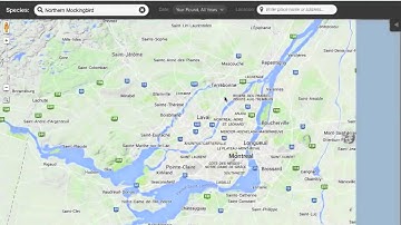 ebird 5  Target Species and Alerts