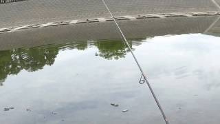 2018050701