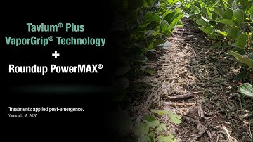 The Power and Convenience of A Dicamba Premix