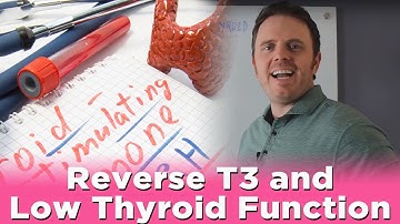 Reverse T3 and Low Thyroid Function