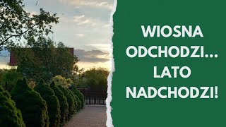 Spacer po ogrodzie pod koniec maja 🌸 Wiosna powoli ustępuje latu | Azalie, rododendrony i kwiaty