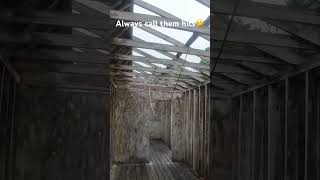 Always Call Your Hits