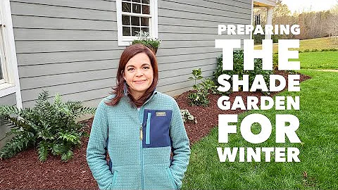 Preparing the Shade Garden for Winter // Gardening with Creekside - DayDayNews