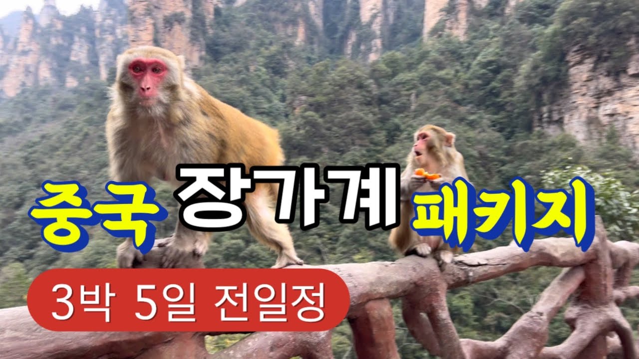 [장가계 패키지여행] 내돈내산 리얼후기 풀영상! (준비물•유의사항) 겨울 장가계❄️