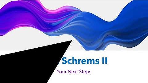Schrems II Next Steps