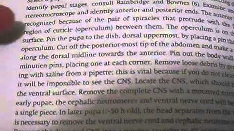 Old Backup Video: Topic  Regression Speed Read Reading Exercises   Techniques Tutorial