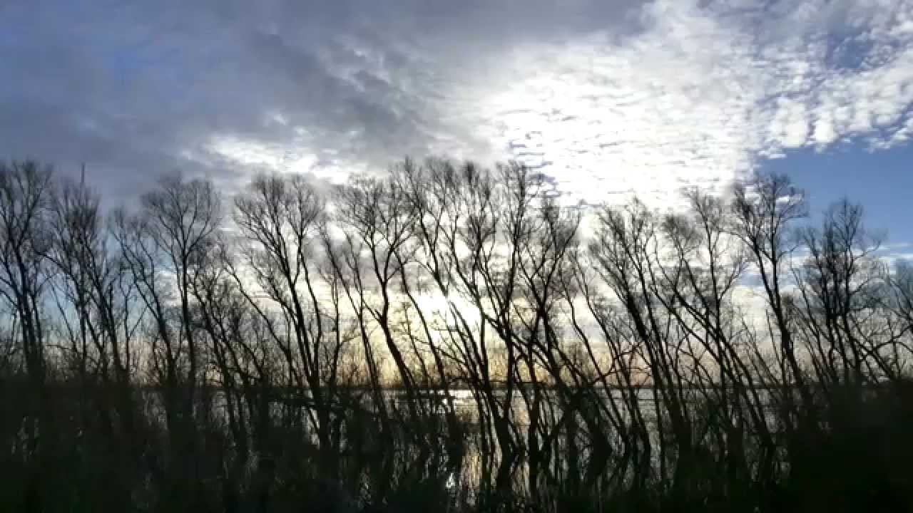 Winter Washes: A winter trip to the Ouse Washes.