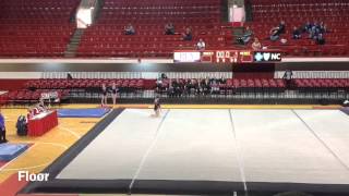 Celebrity Katie McGraw - NC State Sweetheart Invite Wealth