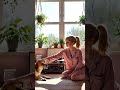 perrito tierno