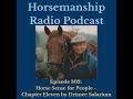 302:  Horse Sense for People -  Chapter Eleven by Drimee Solarium