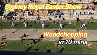 【Sydney Royal Easter Show 2021】 WoodChopping in 10 mins